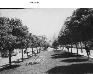 Η Αθήνα του '65 - '70 - οδ. Τοσίτσα