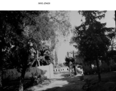 Η Αθήνα του '65 - 70' - Βοτανικός κήπος