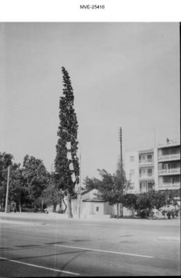 Η Αθήνα του '65 - '70