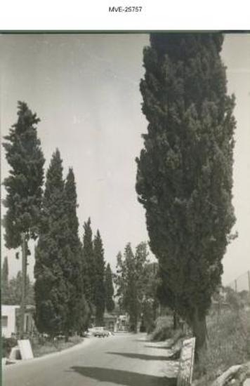 Η Νέα Φιλαδέλφεια του '65 - 70' - Κόκκινος Μύλος