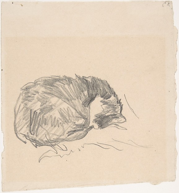 A Cat Curled Up, Sleeping