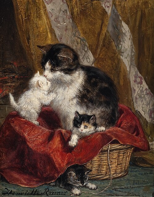 A Cat with Three Kitten