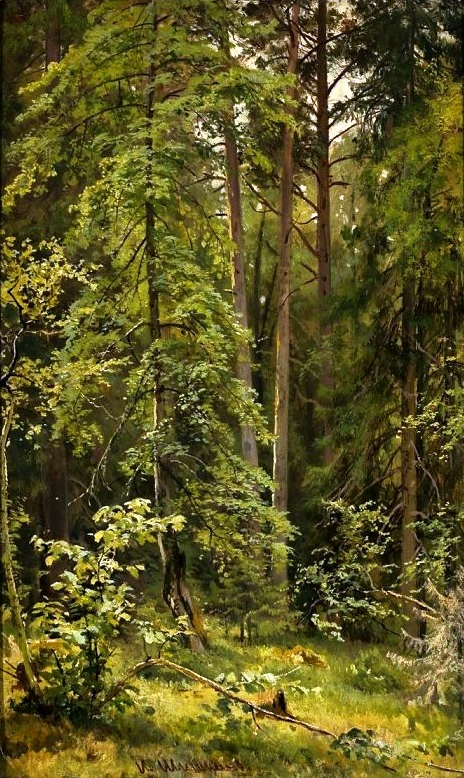 A Forest