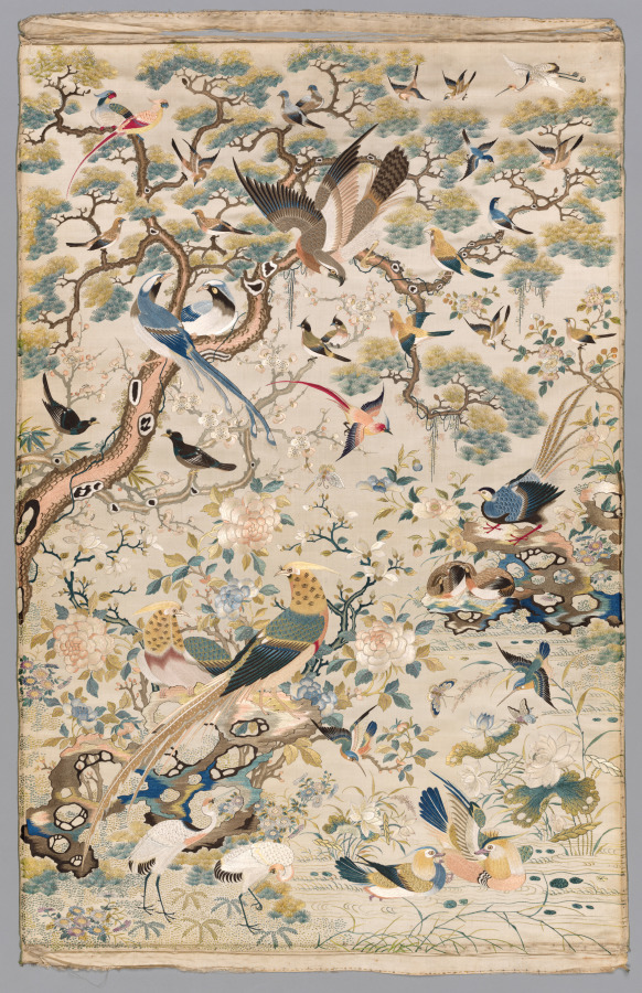 A Myriad of Birds