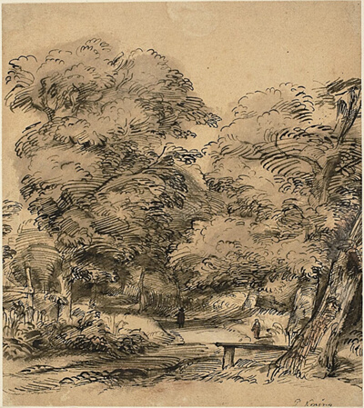 A Path in the Woods