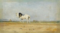 A Plow Horse in a Field