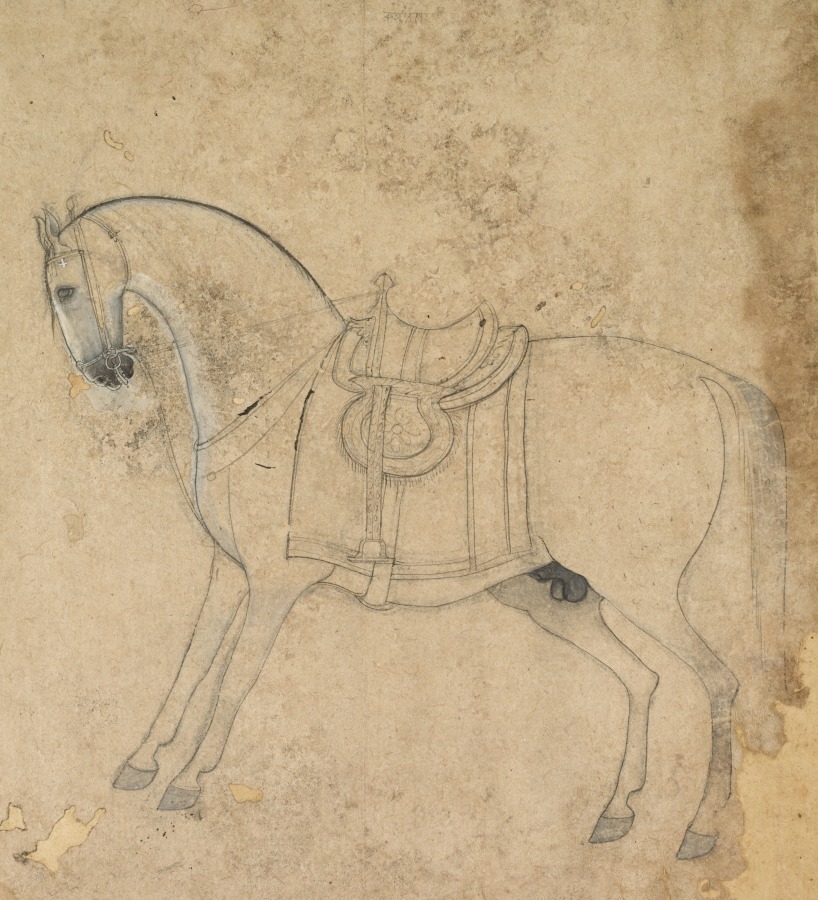 A saddled horse