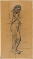 A Standing Male Nude