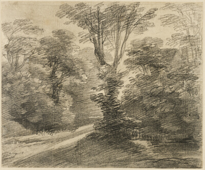 A Sunlit Path through a Wood