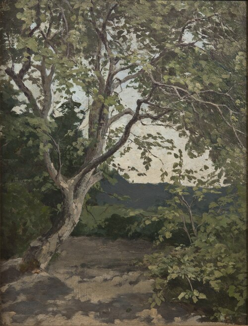 A Tree. Study