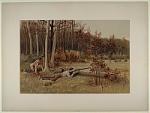 A Wild Turkey Hunt