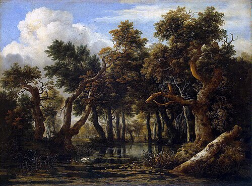 A Wooded Marsh