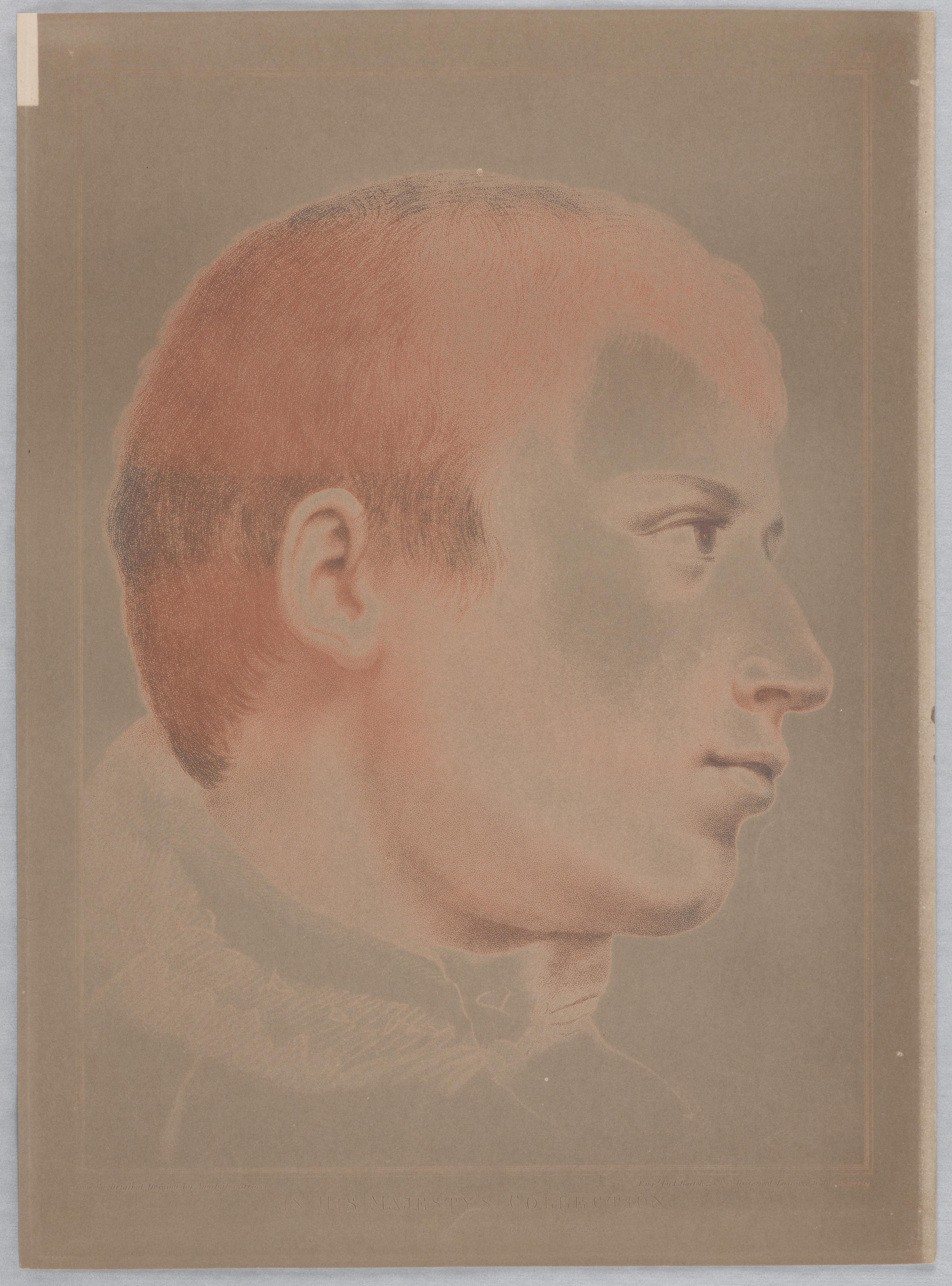 A Young Man's Head