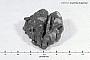 Acanthite