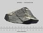 Actinolite