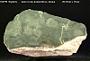 Actinolite