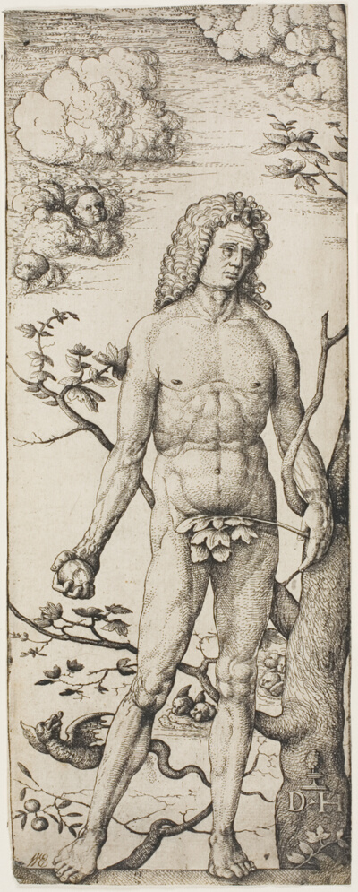 Adam