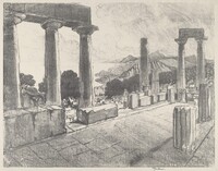 Aegina, The Black Forest