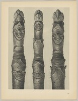 Aesculus parviflora