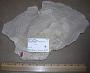 Agaricia undata