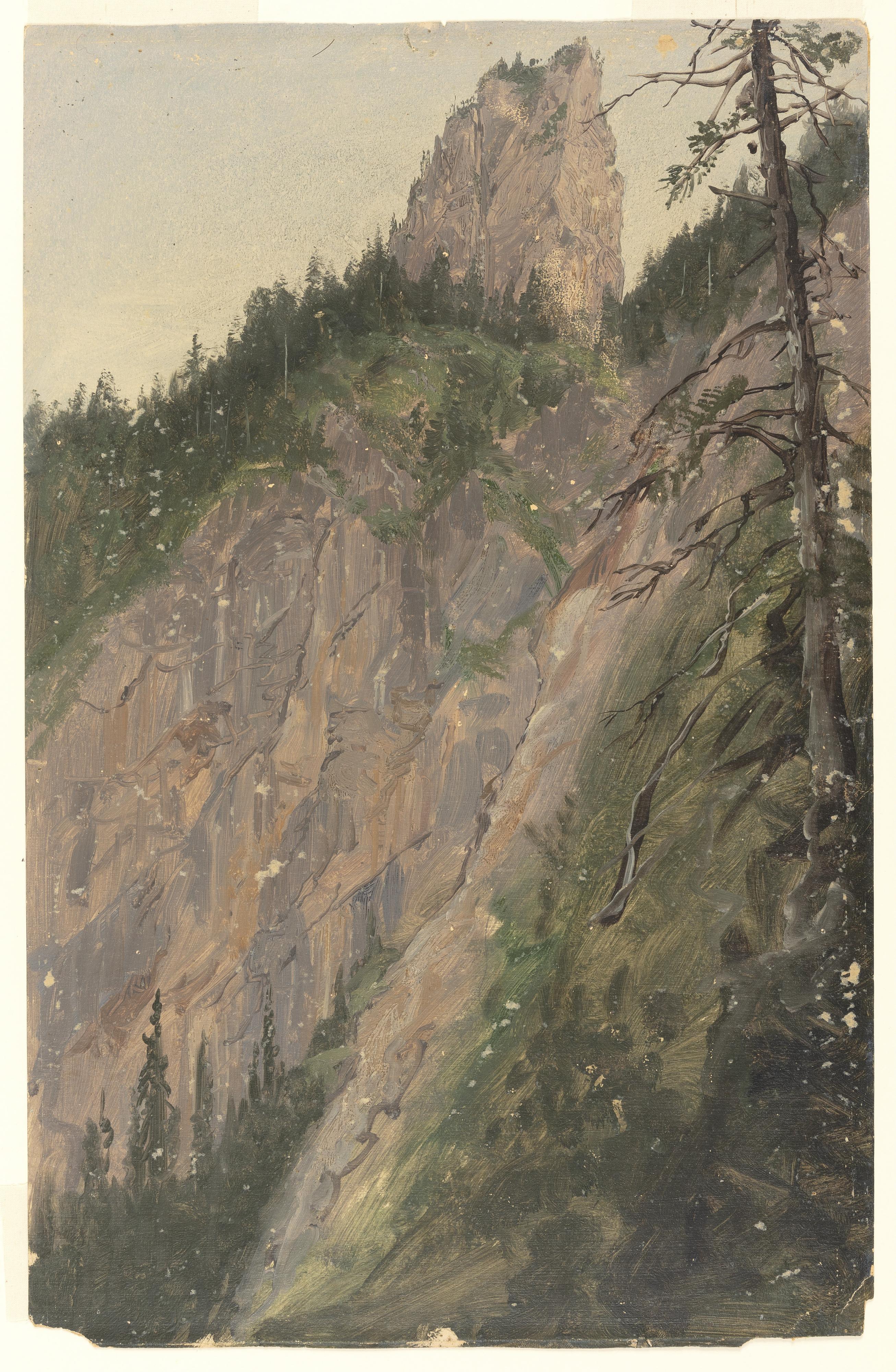 Alpine Landscape