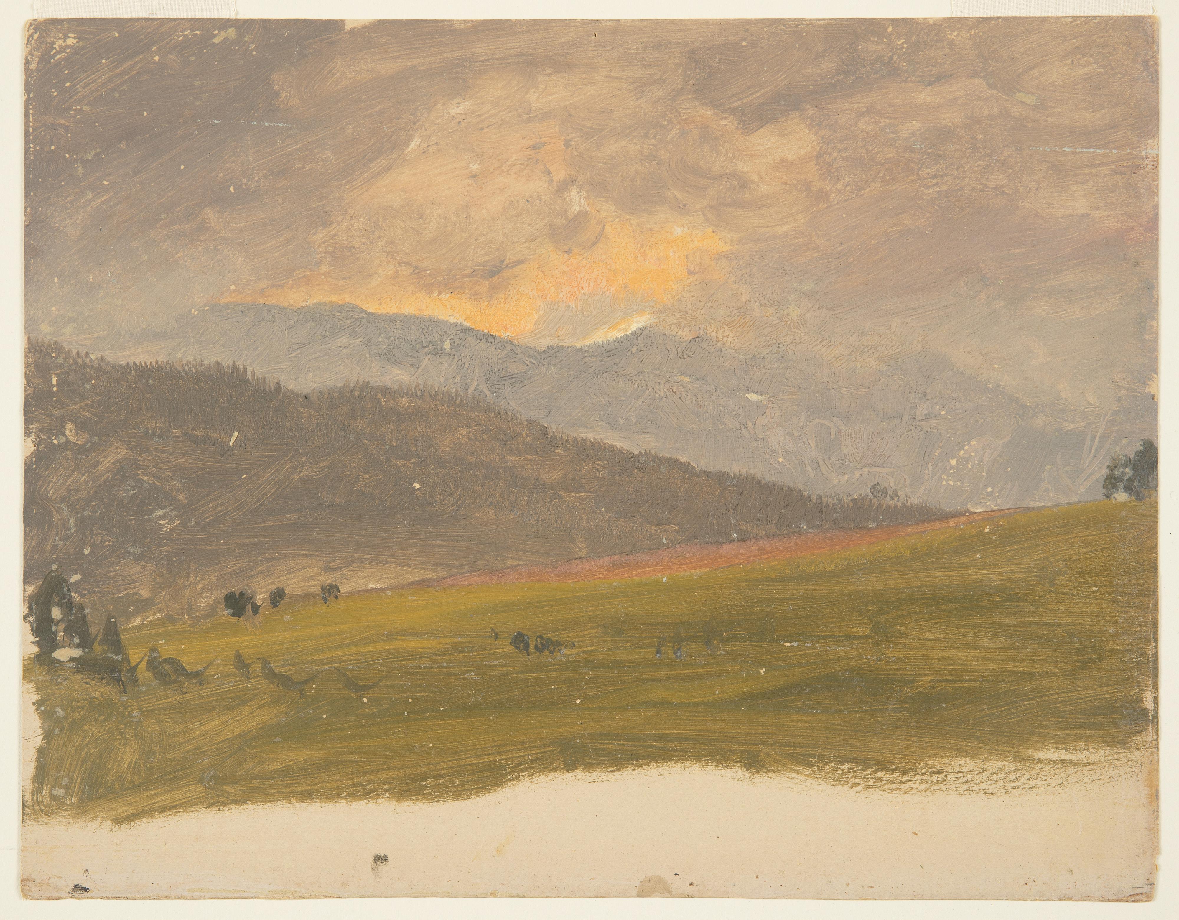 Alpine Landscape