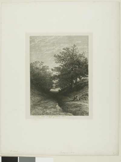 Alpine Landscape