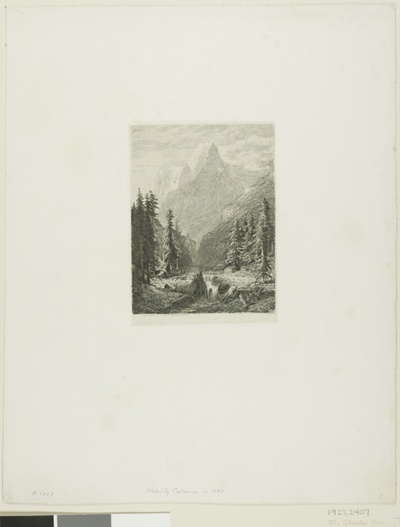 Alpine Landscape