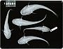 Ameiurus melas