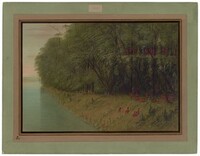 An Amazon Forest - Looking Ashore