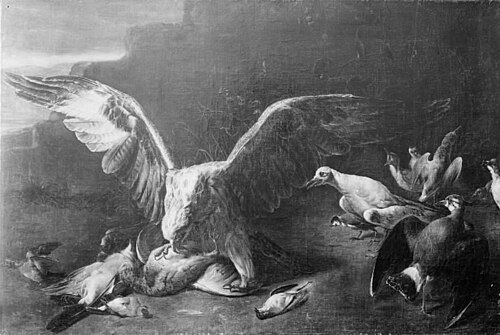 An Eagle among Small Birds