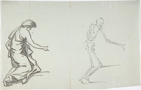 Anatomical drawing