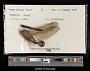Anax junius