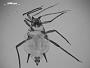 Aphis boydstoni