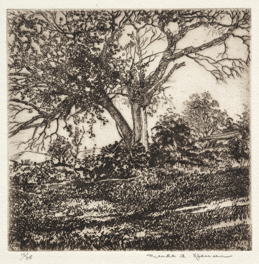 Apple Tree