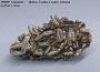 Aragonite