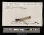 Argia funcki