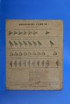 Arithmetic Card for Use with a Numeral Frame