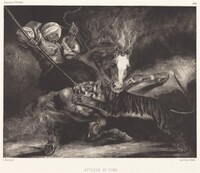 Attaque du tigre