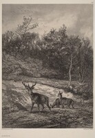 Au bord de l'eau