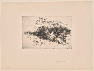 Autumn Landscape