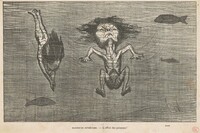 Baigneurs intrepédes