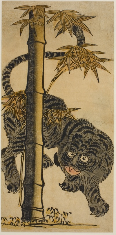 Bamboo and Tiger