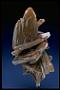 Baryte