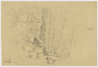 Baum, Baumstamm mit Mauer