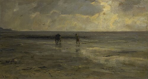 Beach at evening