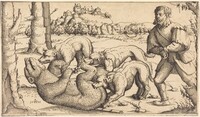 Bear Hunt