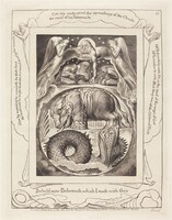 Behemoth and Leviathan