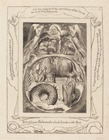 Behemoth and Leviathan