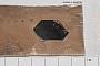 Biotite